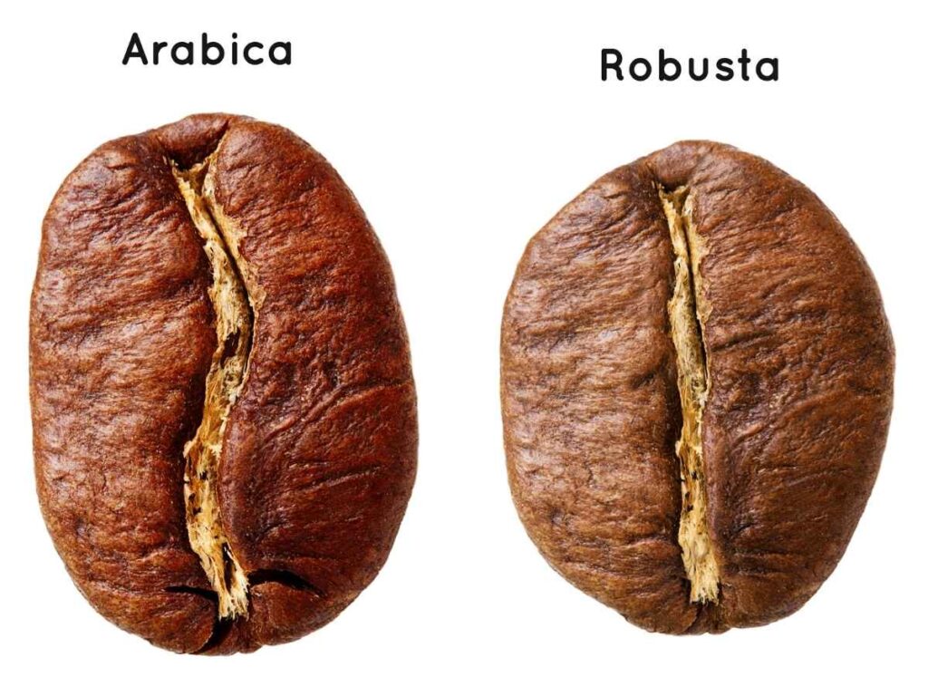 Cà phê rang xay Arabica